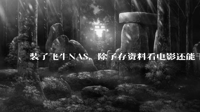装了飞牛NAS，除了存资料看电影还能干什么？